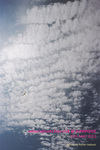 DMsunnyside1103.jpg