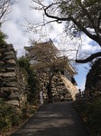 IMG_1586.jpg