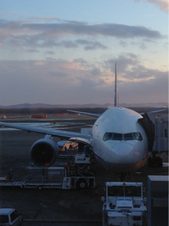 image-20121201070608.png